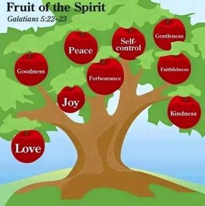 Meet your Posher, Lovella